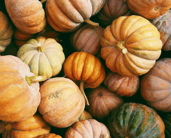 Thanksgiving Gift Surprises: Unwrap the Magic with Thoughtful Presents ,