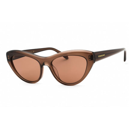Salvatore Ferragamo Women's Sunglasses - Transparent Brown Cat Eye Frame | SF1103S 232 ,