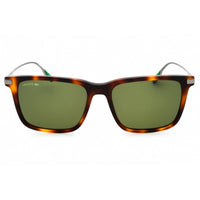 Lacoste Men's Sunglasses - Havana Acetate Square Shape Frame Green Lens | L6017S 214 ,