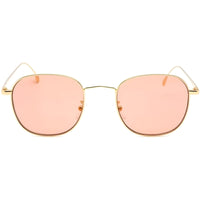 Paul Smith Unisex Sunglasses - Gold Metal Full Rim Pantos Frame | Arnold PSSN008V2 C02 ,