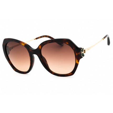 Chopard Women's Sunglasses - Shiny Brown Havana Oversized Acetate Frame | SCH354V 0743 ,