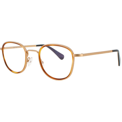 Harry Lary Unisex Eyeglasses - Gold/Brown Acetate/Metal Square Frame | ROASTY 053 ,