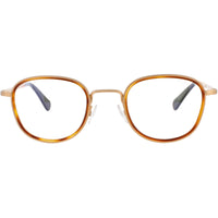 Harry Lary Unisex Eyeglasses - Gold/Brown Acetate/Metal Square Frame | ROASTY 053 ,