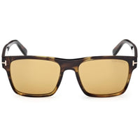 Tom Ford Men's Sunglasses - Calder Havana/Other Acetate Square Frame | FT1205 5556E ,