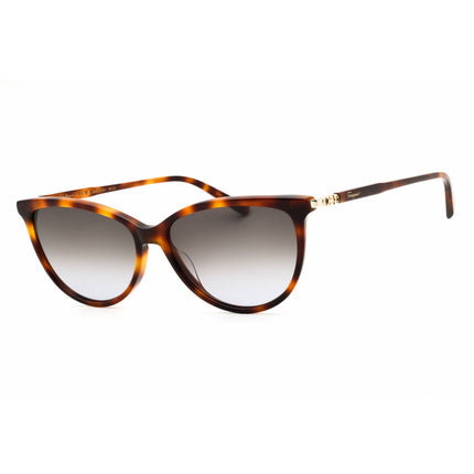 Salvatore Ferragamo Unisex Sunglasses - Oval Shape Full Rim Frame | SF2870SCP 214 ,