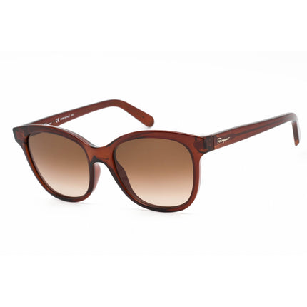 Salvatore Ferragamo Unisex Sunglasses - Oval Shape Full Rim Frame | SF834S 210 ,