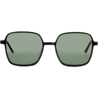 Prodesign Women's Sunglasses - Havana Acetate Full Rim Frame | EXTRUSION 2 5522 ,