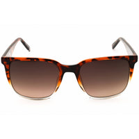 FILA Unisex Sunglasses - Havana Acetate Full Rim Aviator Shape Frame | SFI188 09AX ,