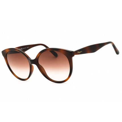 Salvatore Ferragamo Women's Sunglasses - Tortoise Round Full Rim Frame | SF1067S 240 ,