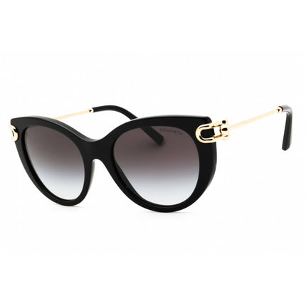 Tiffany Women's Sunglasses - Black Acetate Cat Eye Full Rim Frame | 0TF4232 80013C ,