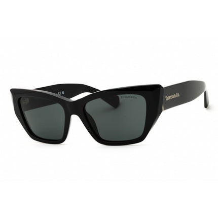 Tiffany Women's Sunglasses - Black Cat Eye Shape Full Rim Frame | 0TF4230 8001S4 ,