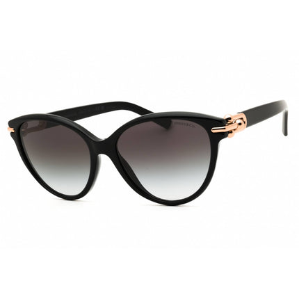 Tiffany Women's Sunglasses - Black Cat Eye Shape Full Rim Frame | 0TF4261 80013C ,