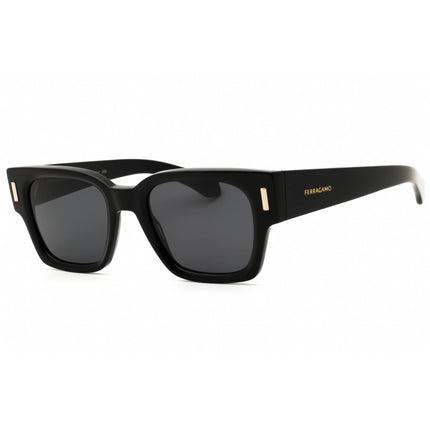 Salvatore Ferragamo Men's Sunglasses - Black Acetate Full Rim Frame | SF2010S 001 ,