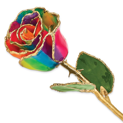 Lacquer Dipped Gold Trim Aurora Neon Rainbow Rose ,