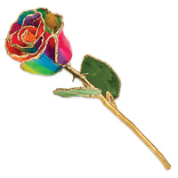 Lacquer Dipped Gold Trim Aurora Neon Rainbow Rose ,
