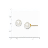 14k 10-11mm White Round Saltwater Cultured South Sea Pearl Post Earrings ,