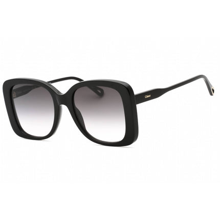 Chloe Women's Sunglasses - Black Butterfly Full Rim Plastic Frame | CH0125S 001 ,