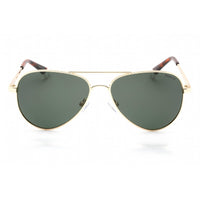 Polaroid Core Unisex Sunglasses - Gold Green Aviator Frame | PLD 6012/N/NEW 0PEF UC ,