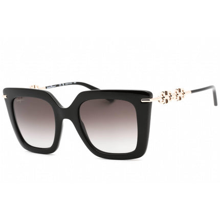 Salvatore Ferragamo Women's Sunglasses - Black Acetate Full Rim Frame | SF1041S 001 ,