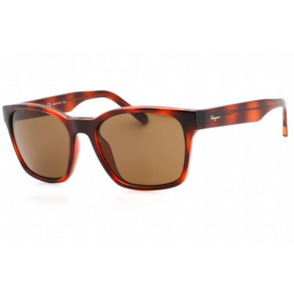 Salvatore Ferragamo Women's Sunglasses - Tortoise Plastic Full Rim Frame | SF959S 214 ,