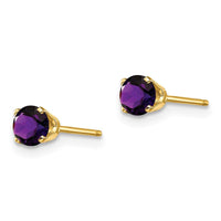 14k 4mm February/Amethyst Post Earrings ,
