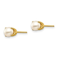 14k 5mm FW Cultured Pearl Earrings-June ,