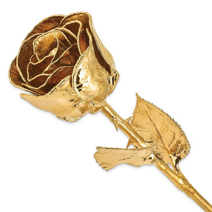24k Gold Dipped Rose ,