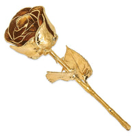 24k Gold Dipped Rose ,