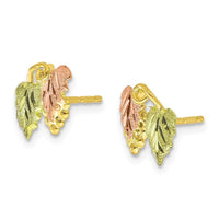 10k Tri-color Black Hills Gold Post Earrings ,