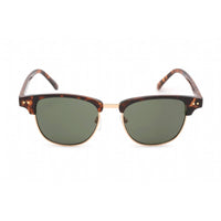 Calvin Klein Retail Women's Sunglasses - Shiny Tortoise Metal Frame | CK20314S 235 ,