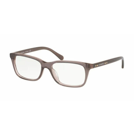 Coach Women's Eyeglasses - Transparent Glitter Grey Rectangular | COACH 0HC6136U 5447 ,