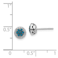 14k White Gold Blue/White Diamond Earrings ,