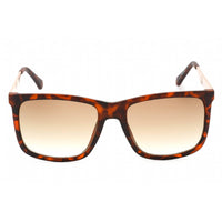 Guess Factory Men's Sunglasses - Dark Havana Frame Gradient Brown Lens | GF0171 52F ,