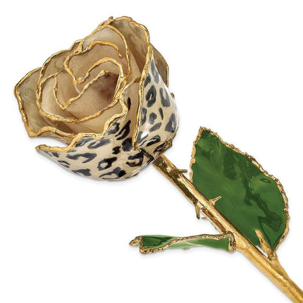 Lacquer Dipped 24k Gold Trim Cream/Black Leopard Rose ,