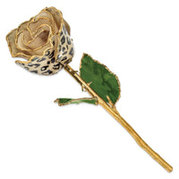 Lacquer Dipped 24k Gold Trim Cream/Black Leopard Rose ,