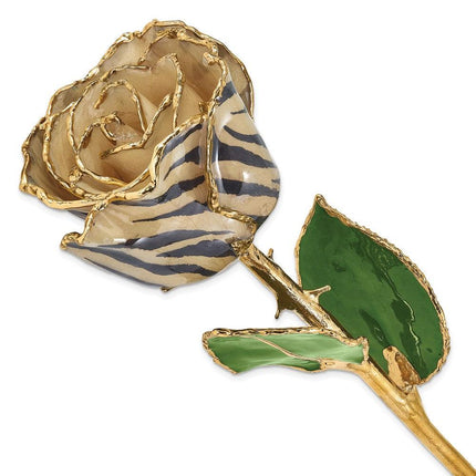 Lacquer Dipped 24k Gold Trim Cream/BlackZebra Rose ,