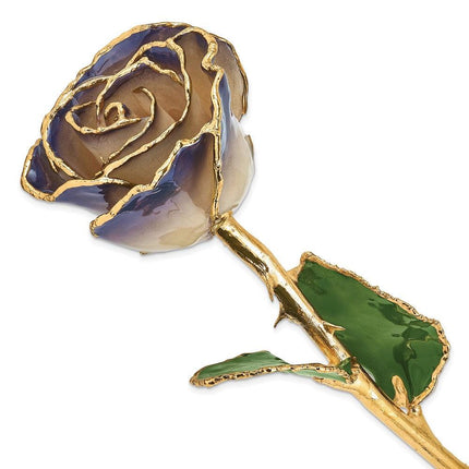 Lacquer Dipped 24k Gold Trim White/Twilight Pearl Rose ,