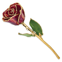 Lacquer Dipped Gold Trim Abracadabra Rose ,