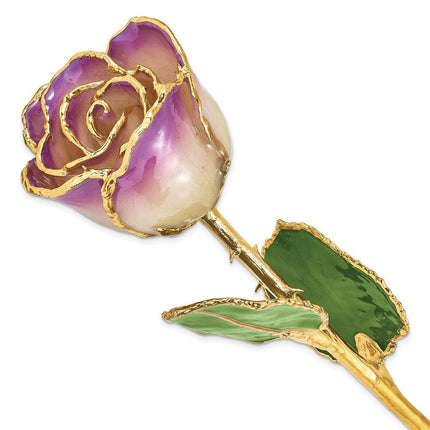 Lacquer Dipped Gold Trim Amethyst Rose ,