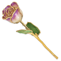 Lacquer Dipped Gold Trim Amethyst Rose ,