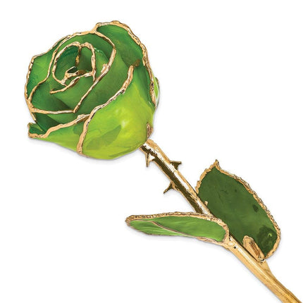 Lacquer Dipped Gold Trim Apple Green Rose ,