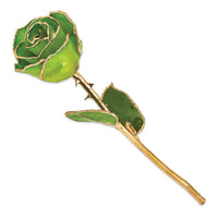Lacquer Dipped Gold Trim Apple Green Rose ,