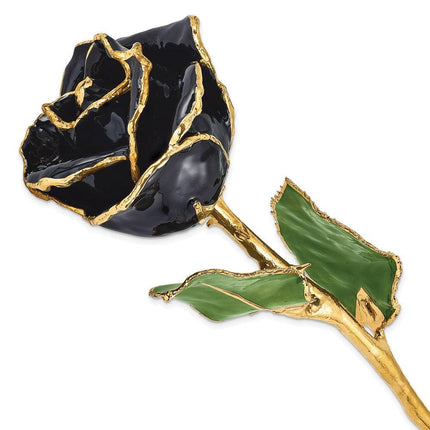 Lacquer Dipped Gold Trim Black Rose ,