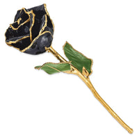 Lacquer Dipped Gold Trim Black Rose ,