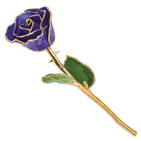 Lacquer Dipped Gold Trim Blue Violet Pearl Rose ,