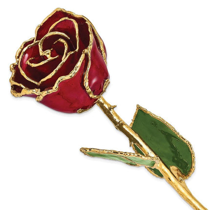 Lacquer Dipped Gold Trim Burgundy Rose ,