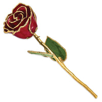 Lacquer Dipped Gold Trim Burgundy Rose ,