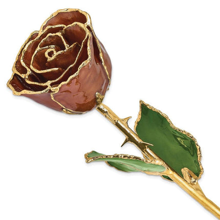 Lacquer Dipped Gold Trim Cinnamon Pearl Rose ,