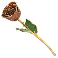 Lacquer Dipped Gold Trim Cinnamon Pearl Rose ,