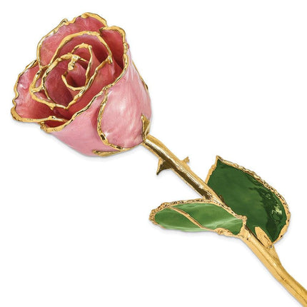 Lacquer Dipped Gold Trim Dusty Pink Rose ,